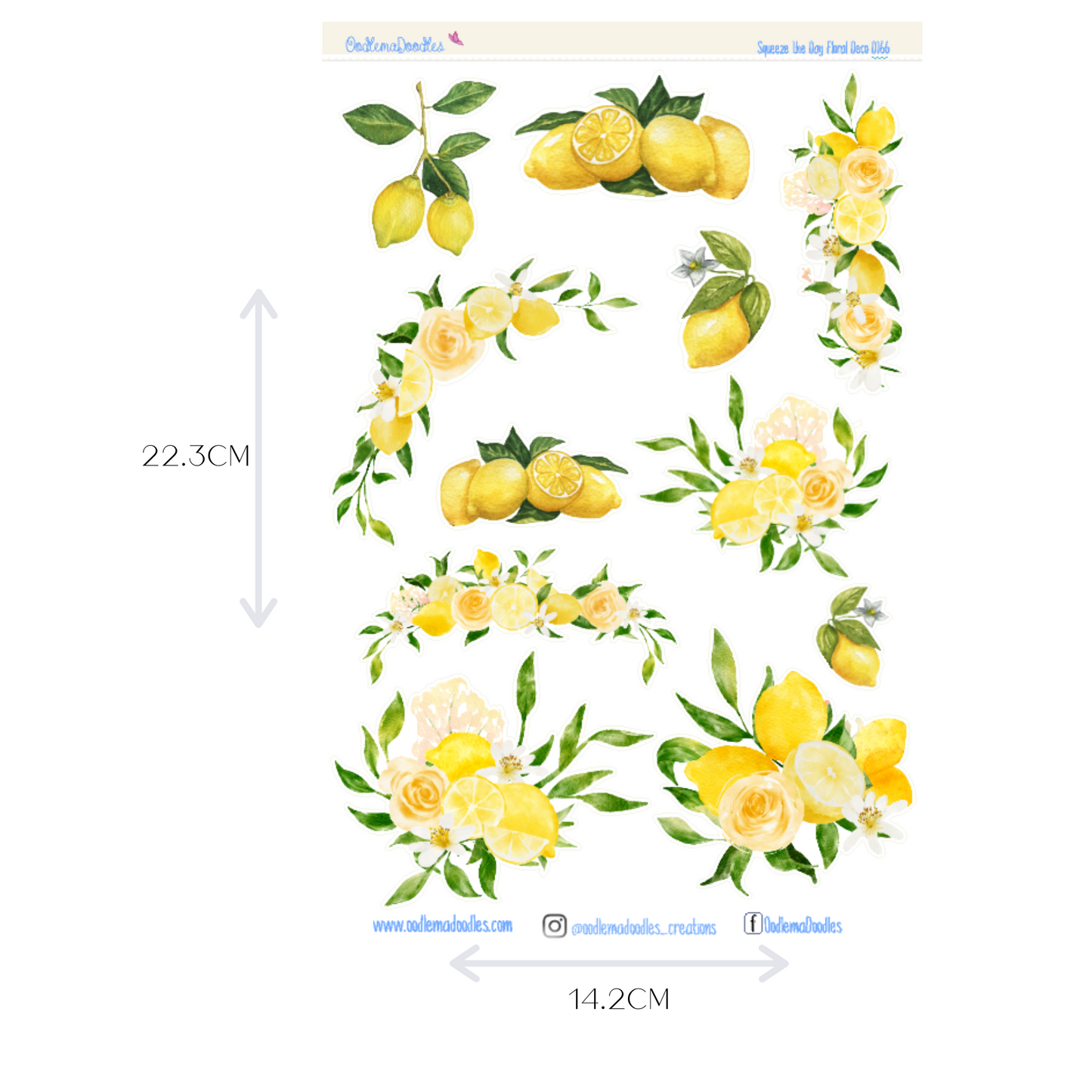 Squeeze the Day Flower Large Decorative Planner Stickers