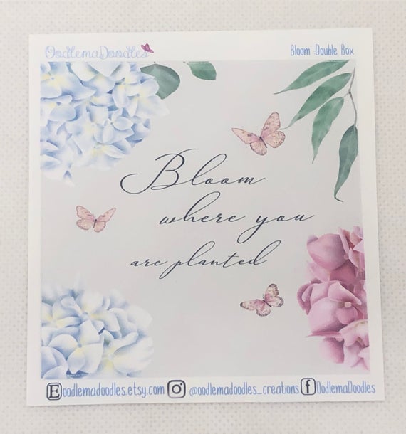 Farmhouse Bloom Decorative Double Box Sticker