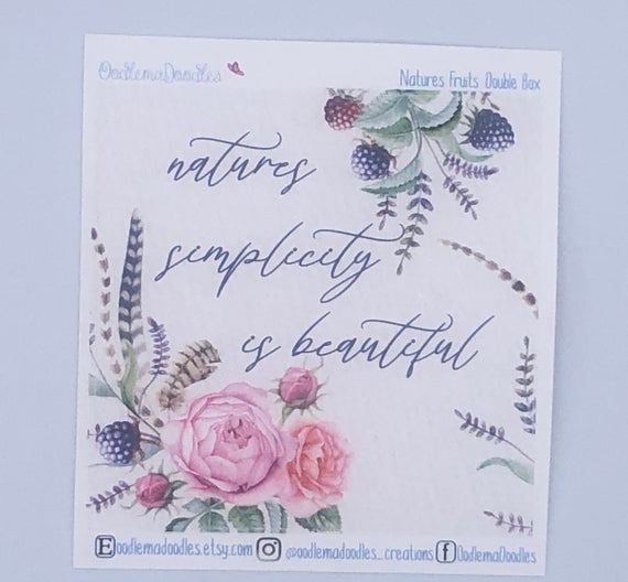 Natures Fruits - Decorative Double Box Sticket