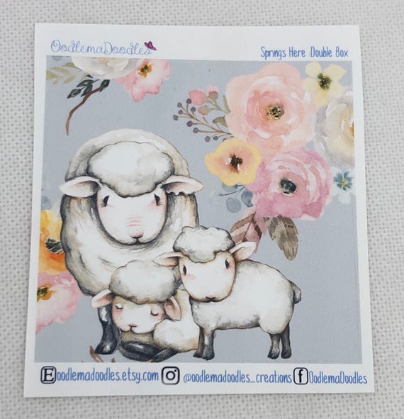 Springs here - Decorative Double Box Sticket