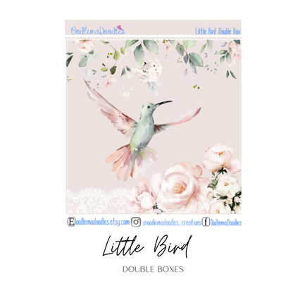 Little Bird Decorative Double Box Sticker