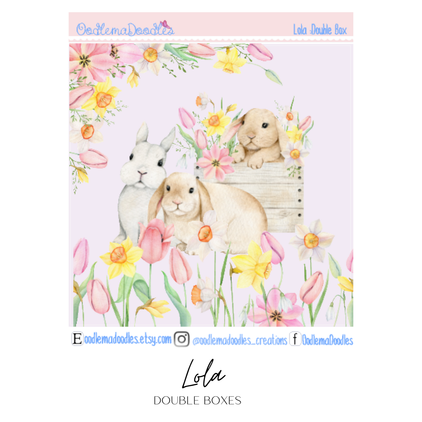 Lola Decorative Double Box Sticker
