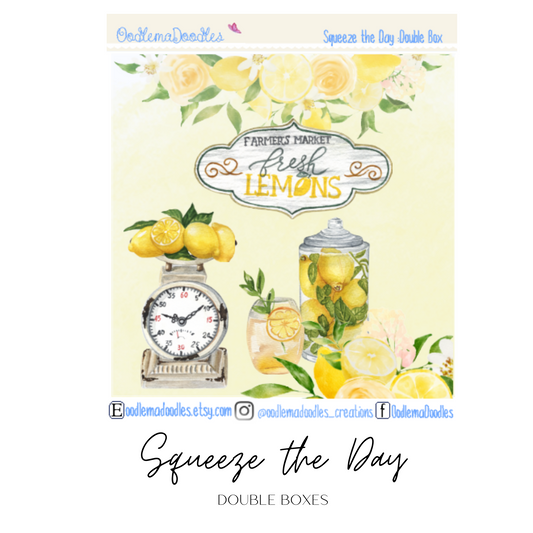 Squeeze the Day Decorative Double Box Sticker