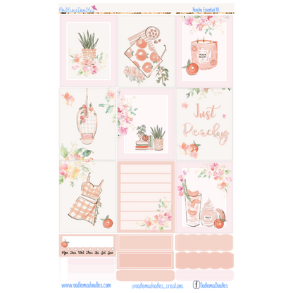 Peachy Essential Planner Sticker Kit