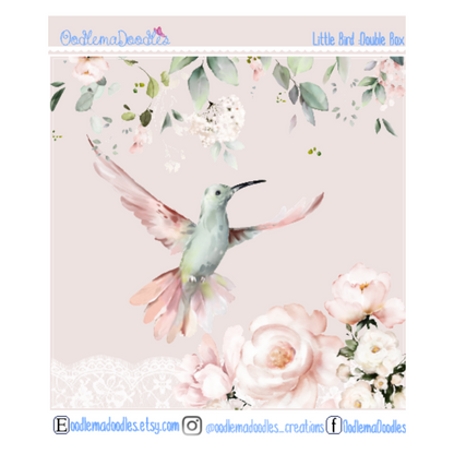 Little Bird Decorative Double Box Sticker