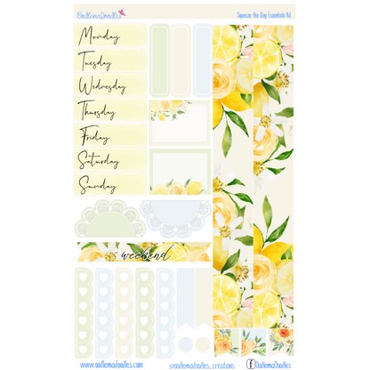 Squeeze the Day Essential Planner Sticker Kit