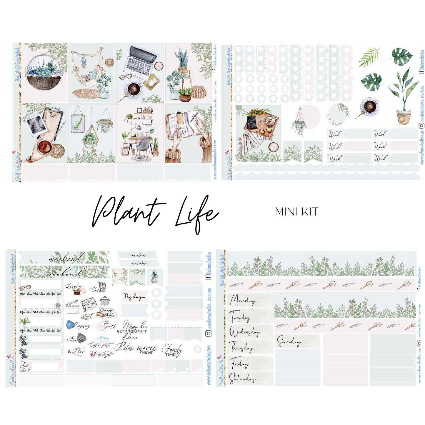 Plant Life Mini Kit