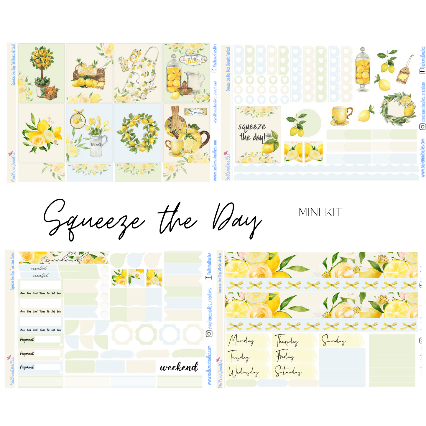 Squeeze the Day Mini Kit